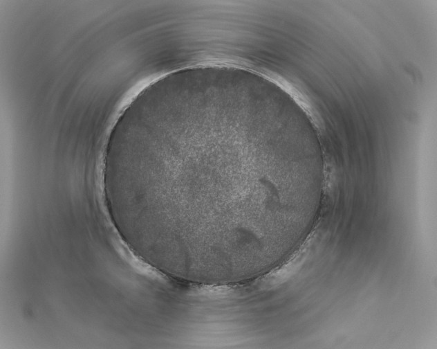 X0000112891094200909041657
