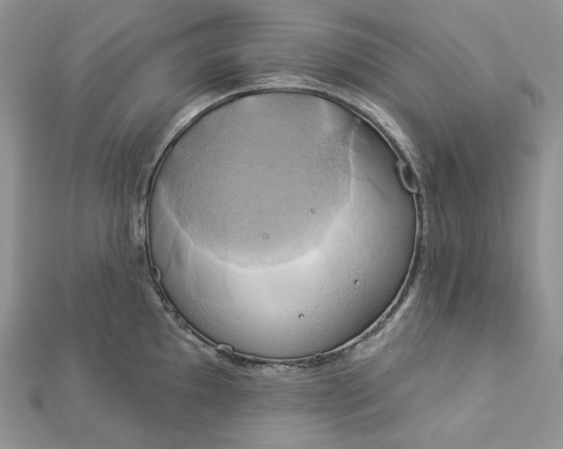 X0000112891097200909041656