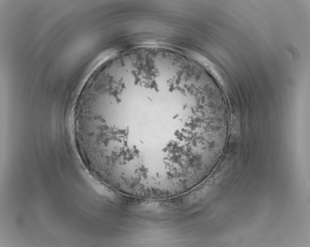 X0000112891098200909041656