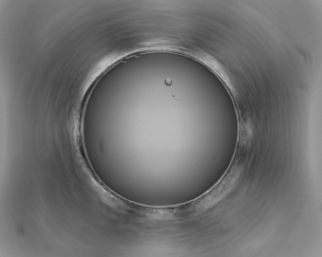 X0000112891101200909041656