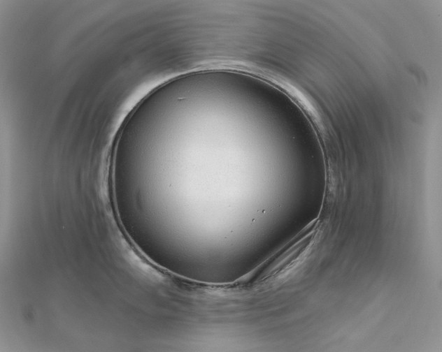 X0000112891102200909041656