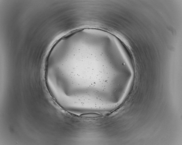 X0000112891104200909041656