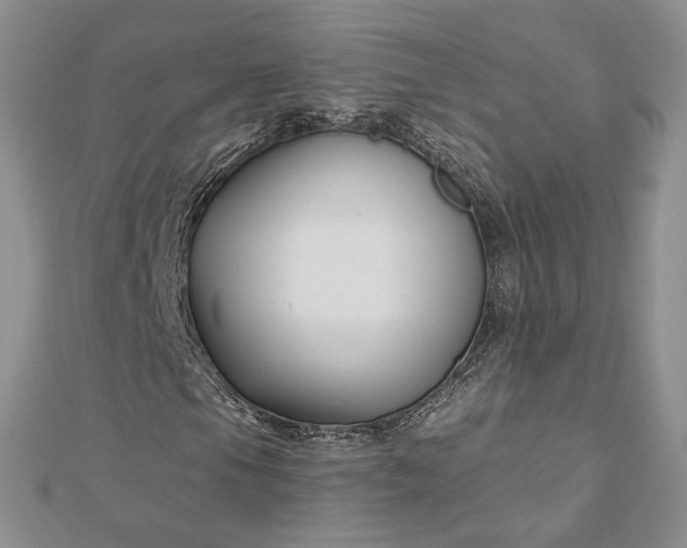 X0000112891105200909041656