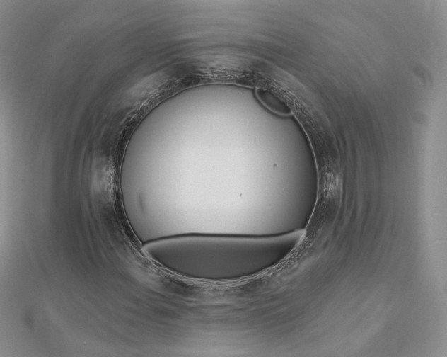 X0000112891108200909041656
