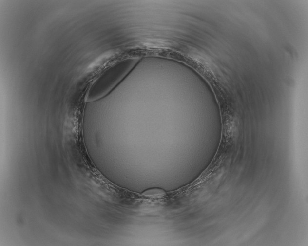 X0000112891110200909041656