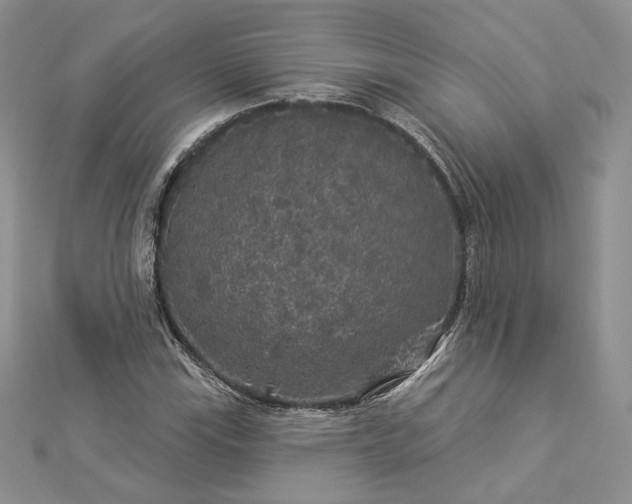 X0000112891115200909041656