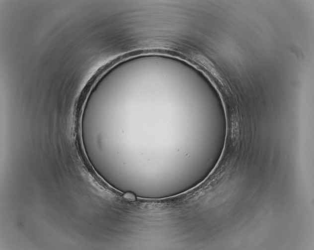 X0000112891116200909041656