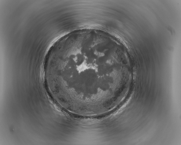 X0000112891117200909041656