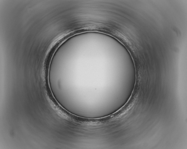 X0000112891122200909041656
