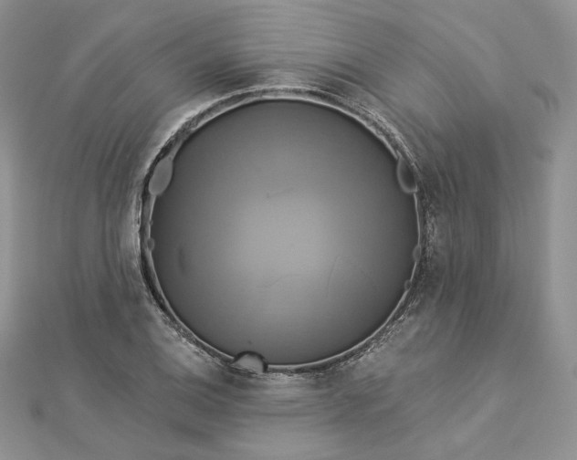 X0000112891124200909041656