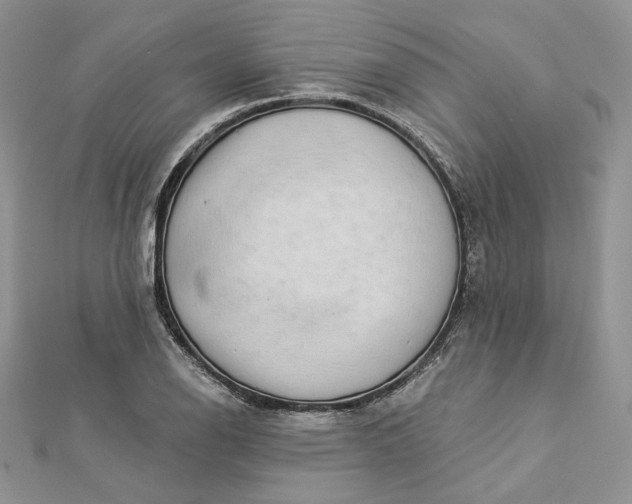 X0000112891126200909041656