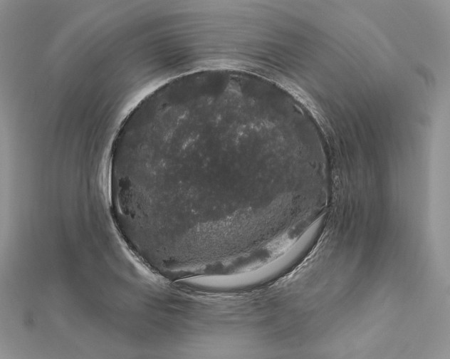 X0000112891127200909041656