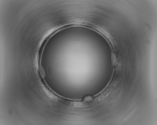 X0000112891128200909041656