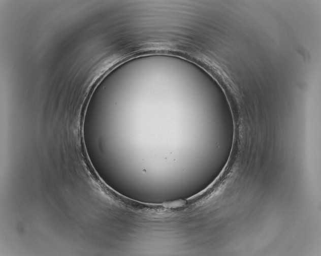 X0000112891129200909041656