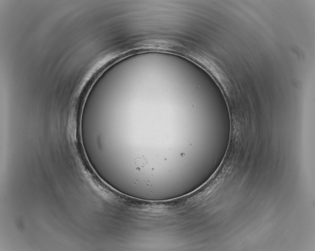 X0000112891131200909041656