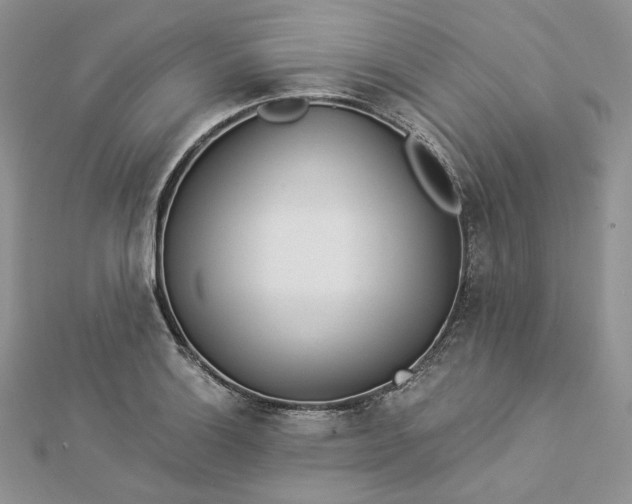 X0000112891132200909041656