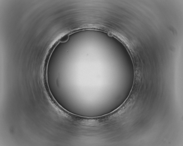 X0000112891135200909041656