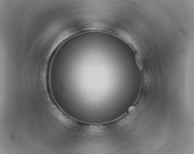 X0000112891138200909041656