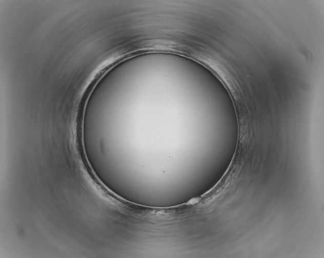 X0000112891139200909041656