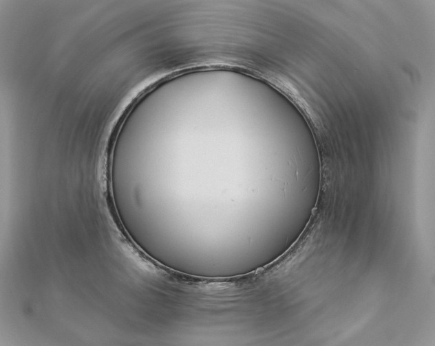 X0000112891140200909041656