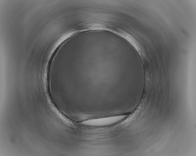 X0000112891142200909041656