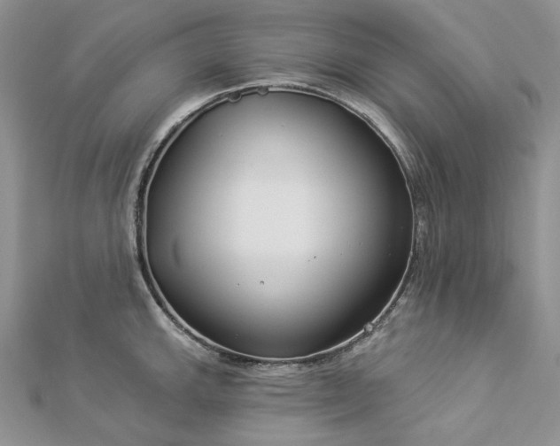 X0000112891143200909041656