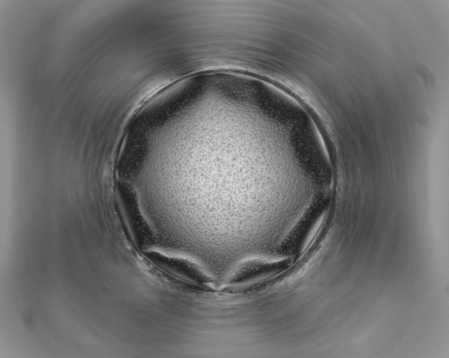 X0000112891145200909041656