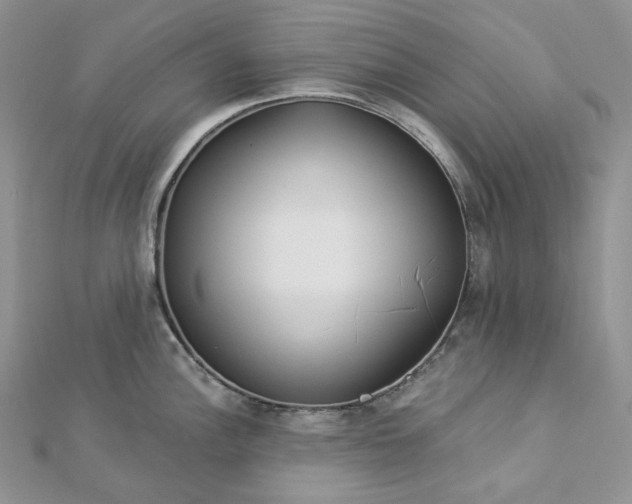 X0000112891148200909041656