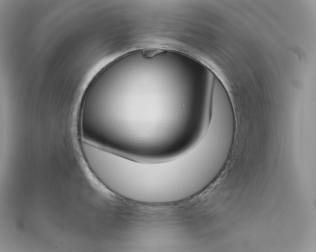 X0000112891152200909041656