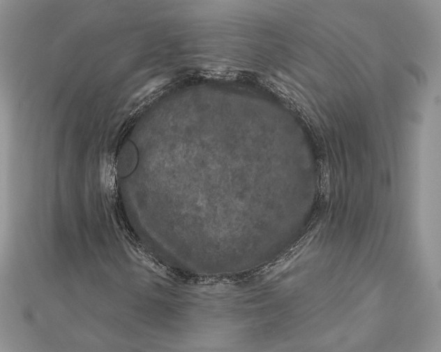 X0000112891154200909041656