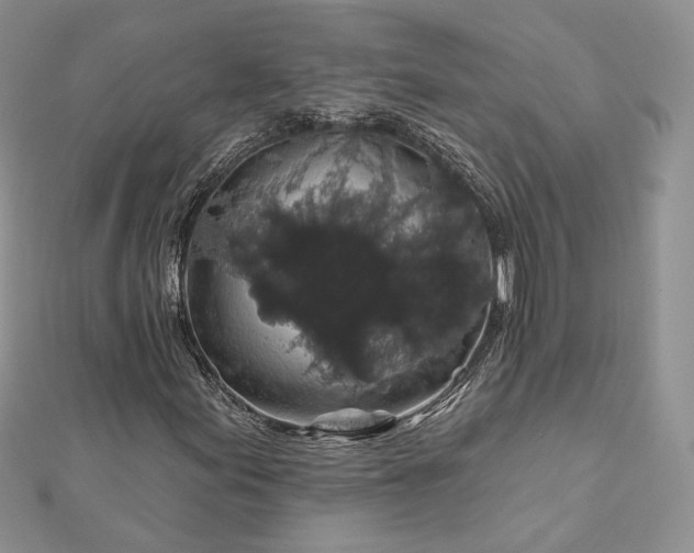 X0000112891155200909041656