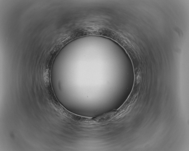X0000112891156200909041656