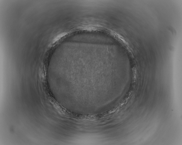 X0000112891158200909041656