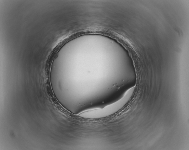 X0000112891160200909041656
