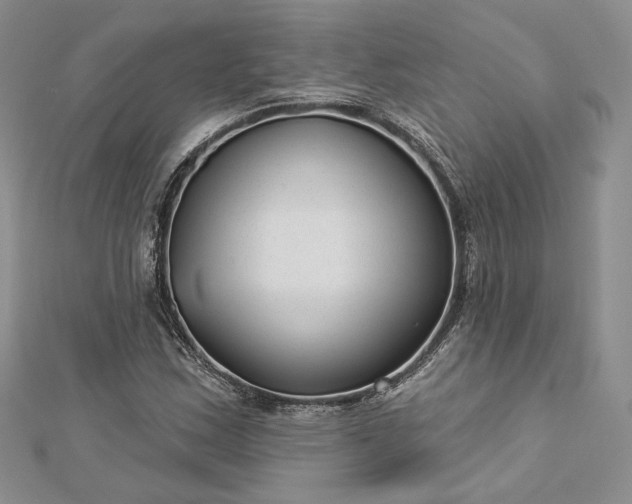 X0000112891163200909041655