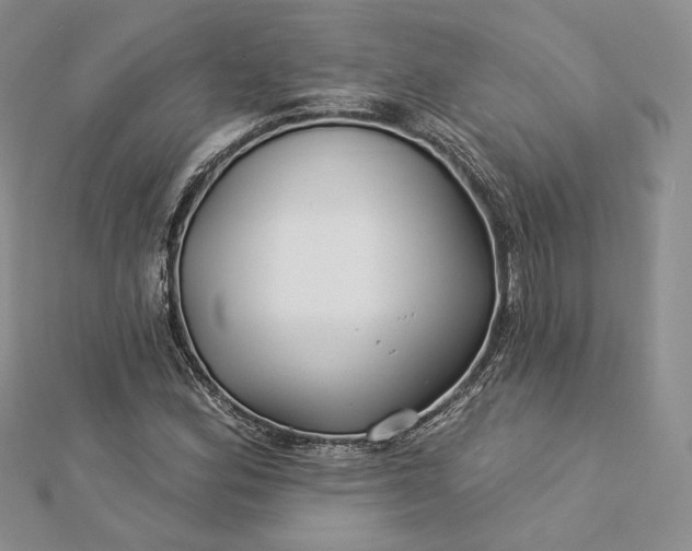 X0000112891164200909041655