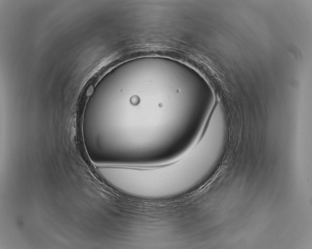 X0000112891165200909041655