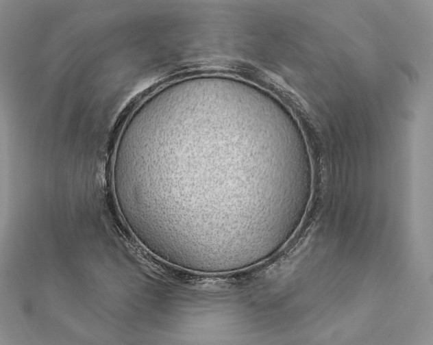 X0000112891166200909041655