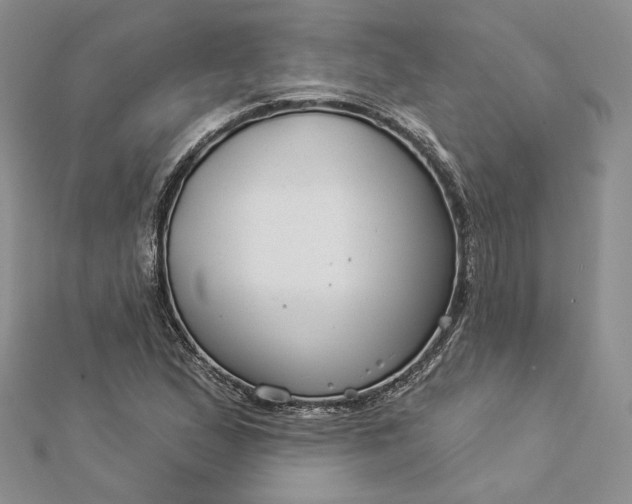 X0000112891167200909041655