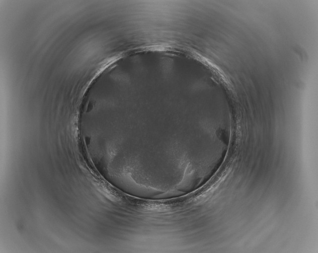 X0000112891170200909041655