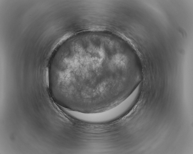 X0000112891171200909041655
