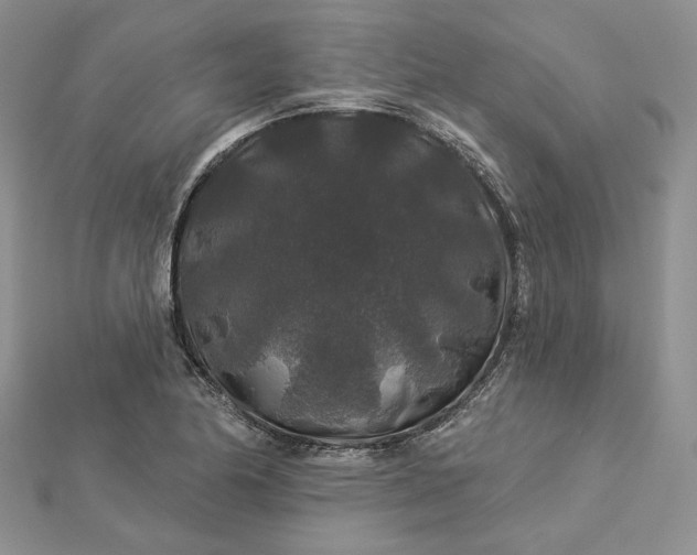 X0000112891174200909041655