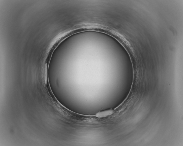X0000112891175200909041655