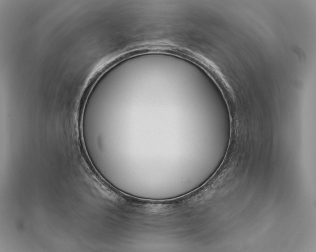 X0000112891176200909041655