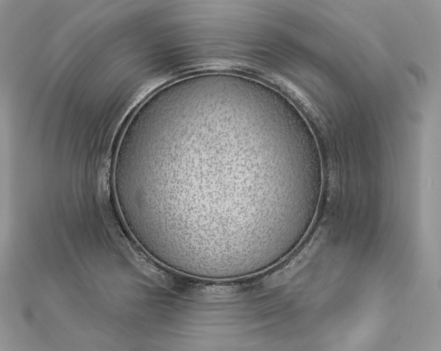 X0000112891178200909041655