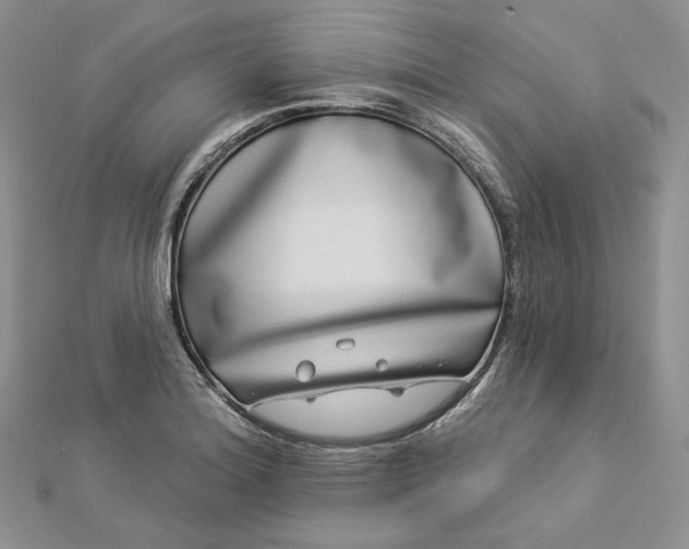 X0000112891180200909041655