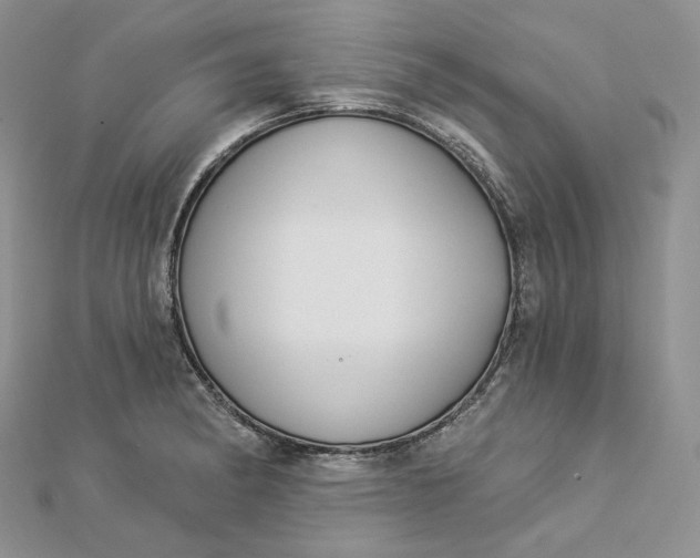 X0000112891182200909041655