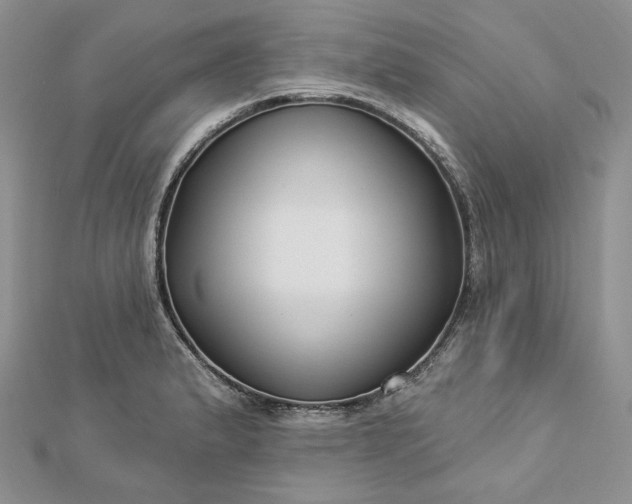 X0000112891183200909041655