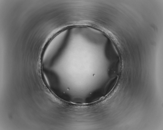 X0000112891184200909041655
