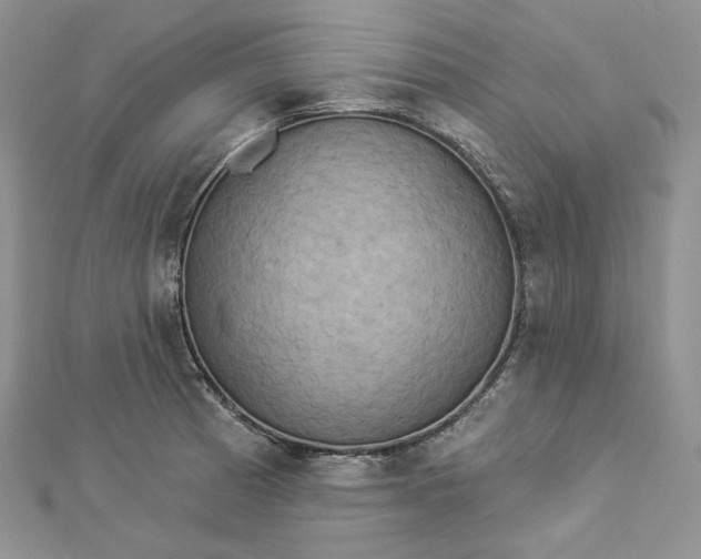 X0000112891185200909041655